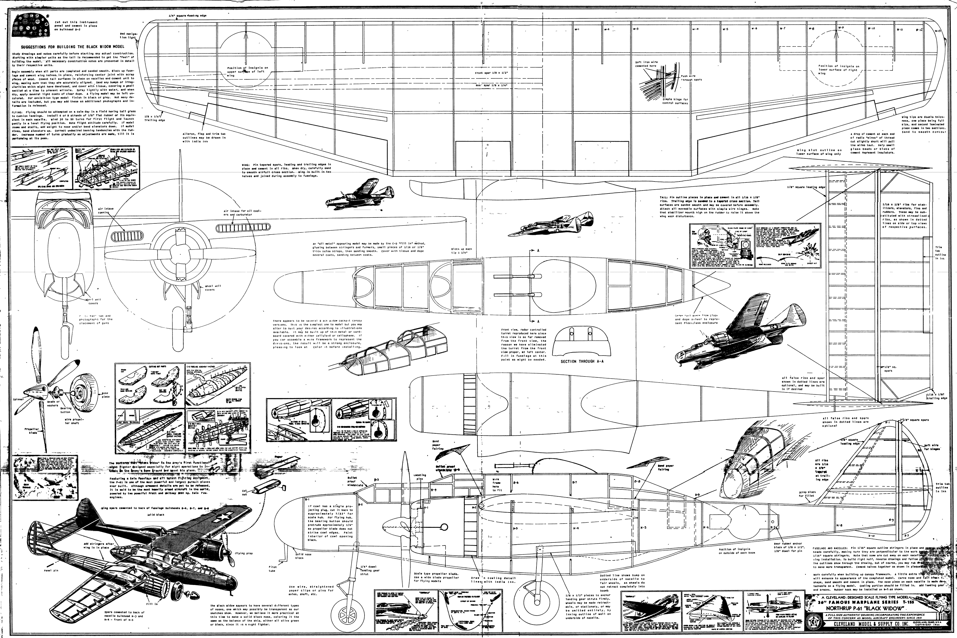 black widow plan